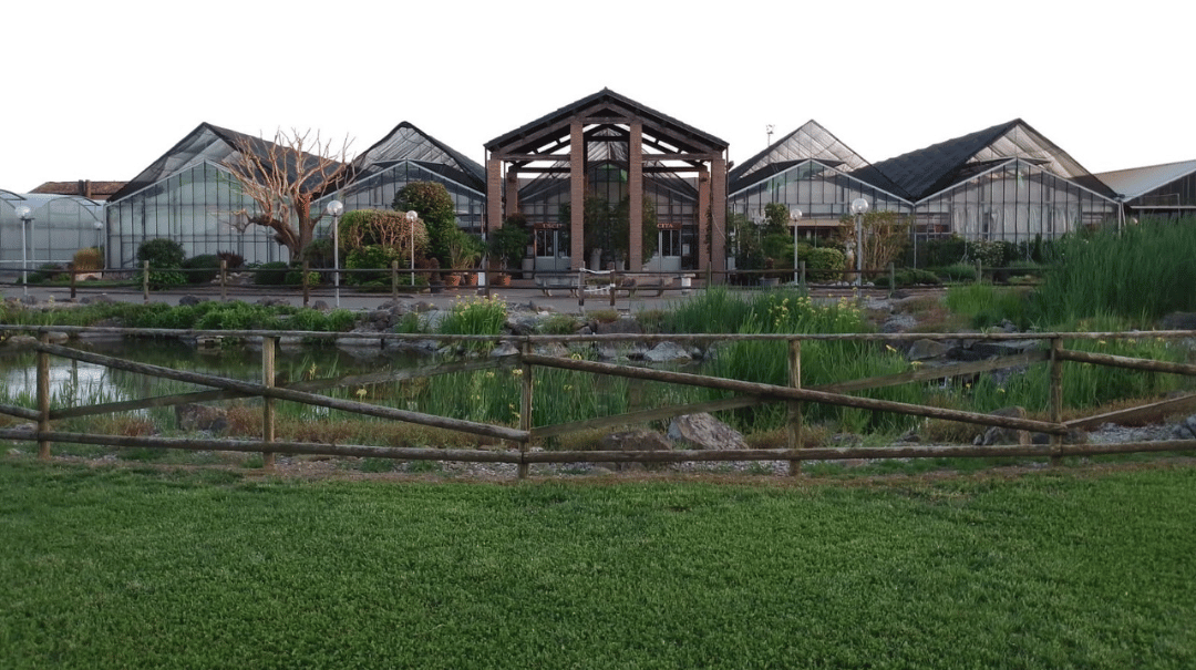azienda-megagarden-modena-chisiamo