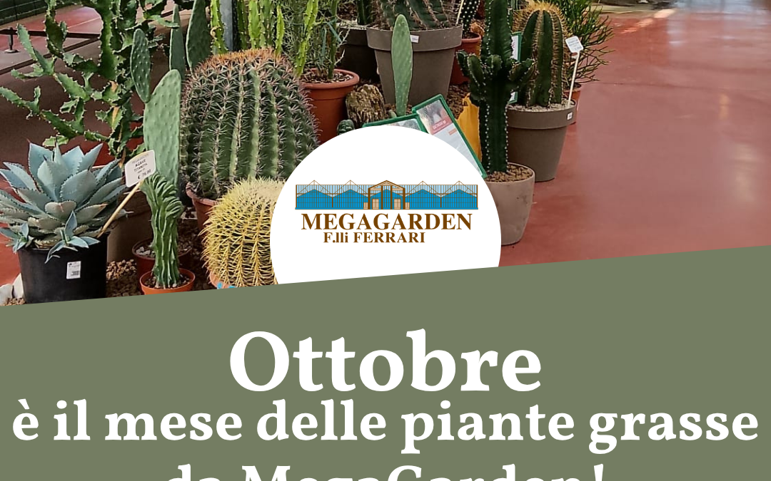Ottobre è il mese delle piante grasse da MegaGarden!