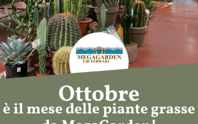 Ottobre è il mese delle piante grasse da MegaGarden!